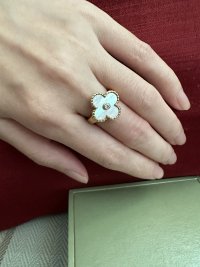 IMG_3513.jpeg