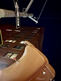 IMG_3685.jpeg