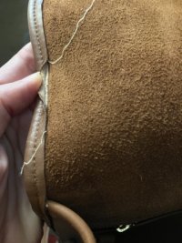 IMG_2071 Medium.jpeg
