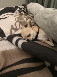 6786DEED-1089-41B7-A0EF-B534230E35D4.jpeg