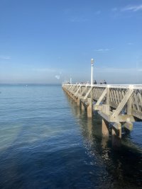 IMG_2445.jpeg