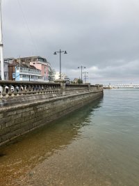 IMG_2502.jpeg