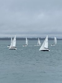 IMG_2526.jpeg