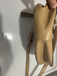 IMG_8623.jpeg
