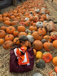IMG_5149.jpeg