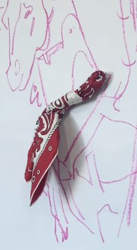IMG_8196.jpeg