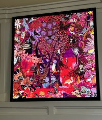 IMG_8915.jpeg