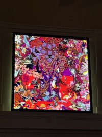 IMG_8923.jpeg