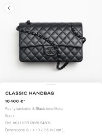 Look: Julie Anne San Jose's Chanel Bags