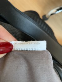 IMG_2305.jpeg
