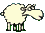 sheep_nervous.gif