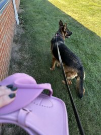 IMG_8575.jpeg