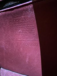 IMG_8322.jpeg