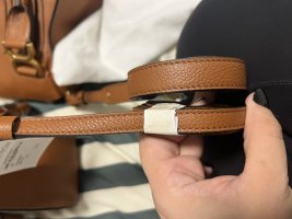 IMG_2981.jpeg