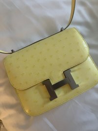 IMG_8958.jpeg