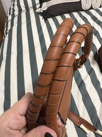 IMG_2972.jpeg