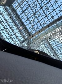 IMG_4287.jpeg