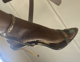 IMG_4983.jpeg