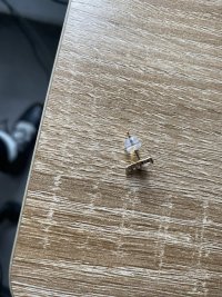 IMG_4731.jpeg