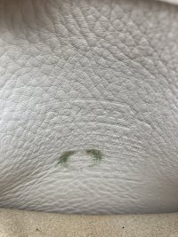 IMG_4393.jpeg