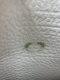 IMG_4392.jpeg