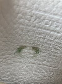 IMG_4391.jpeg