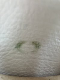 IMG_4390.jpeg
