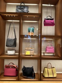 IMG_7220.jpeg
