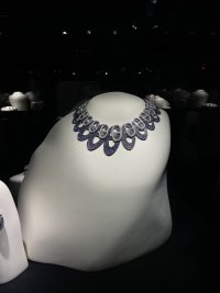 IMG_6538.jpeg