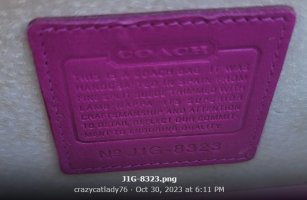 8323 SUEDE  AND NAPPA LAMB  CLUTCH H1G-SPAIN plant-a.jpg
