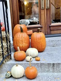 IMG_4480.jpeg