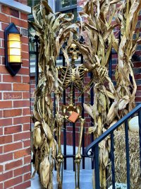 IMG_4475.jpeg