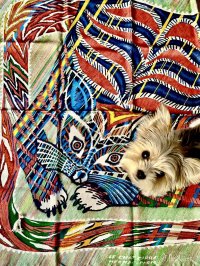 IMG_4467.jpeg
