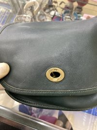 IMG_3986.jpeg