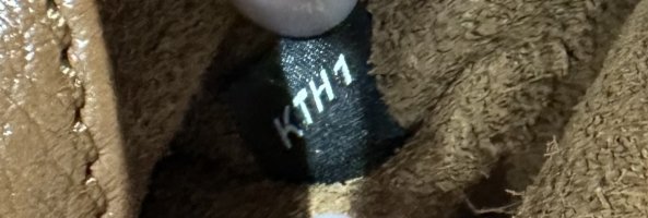 IMG_6005.jpeg