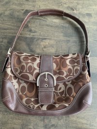 gage041704 fake coach M04K-5659 front.jpeg