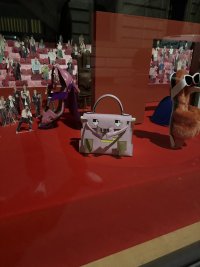 IMG_2872.jpeg