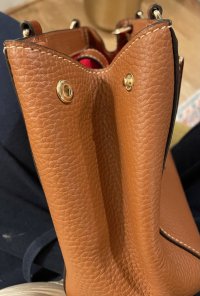 IMG_8913.jpeg