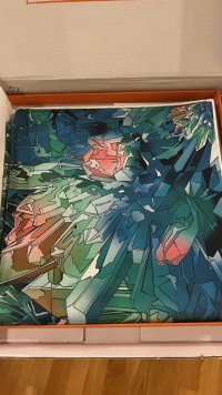 IMG_3832.jpeg