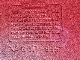 IMG_4193.jpeg