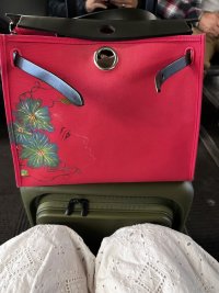 IMG_6857.jpeg