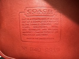 IMG_4242.jpeg