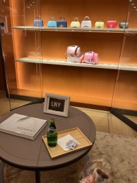 IMG_6559.jpeg