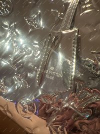 SilverSpeedy2.jpg