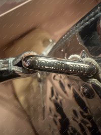 SilverSpeedy12.jpg