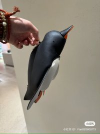IMG_9500.jpeg
