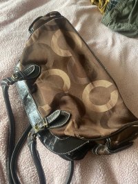 IMG_2255.jpeg