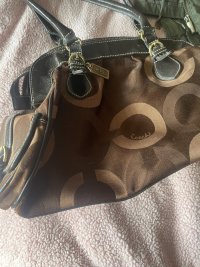 IMG_2253.jpeg