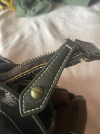 IMG_2256.jpeg