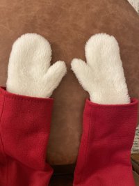 IMG_0233.jpeg